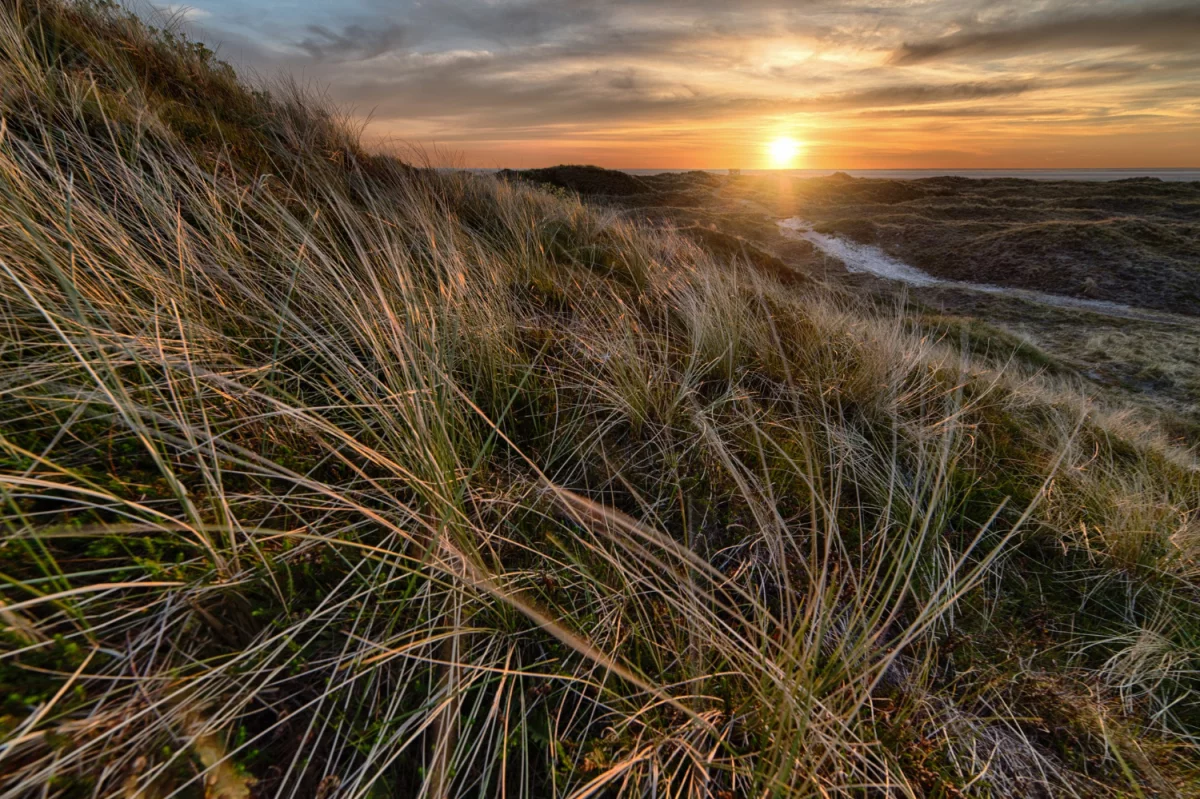 8 Zaskakująco Skutecznych Sposobów Aby wybudować domek