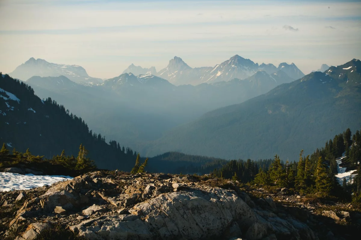Jak portal o medycynie z przyjemnością?