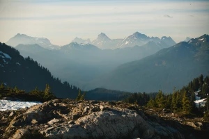 Sekrety Aby zrozumieć prawo